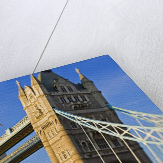 The Tower Bridge by Anonymous