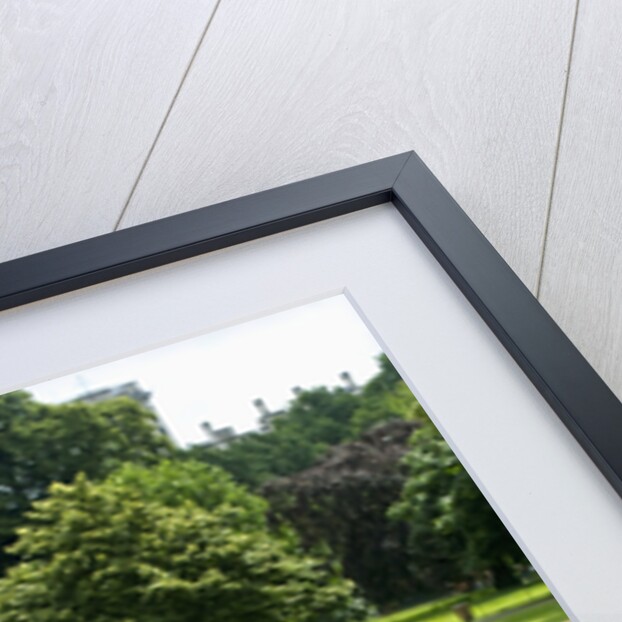 Deck Chairs in St. James Park by Anonymous