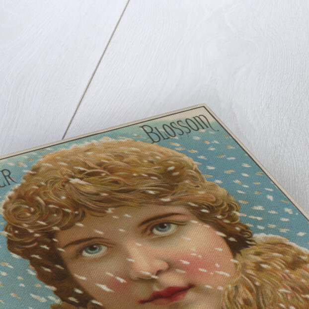 Winter Blossom Cigar Label by Anonymous