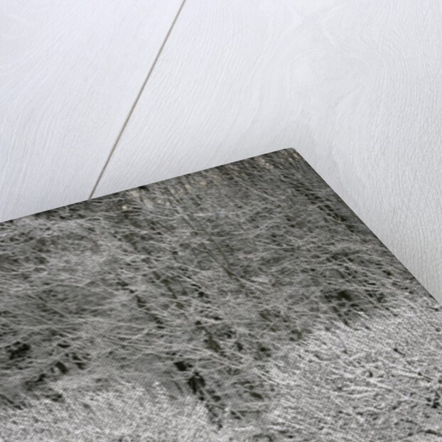 Snow covered landscape by Anonymous