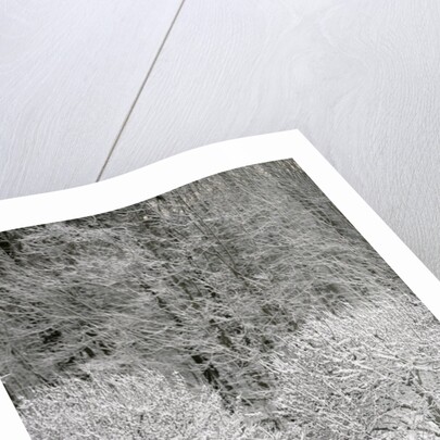 Snow covered landscape by Anonymous