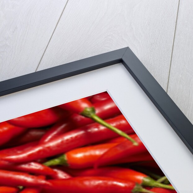 Jalapenos by Anonymous