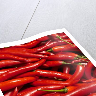 Jalapenos by Anonymous