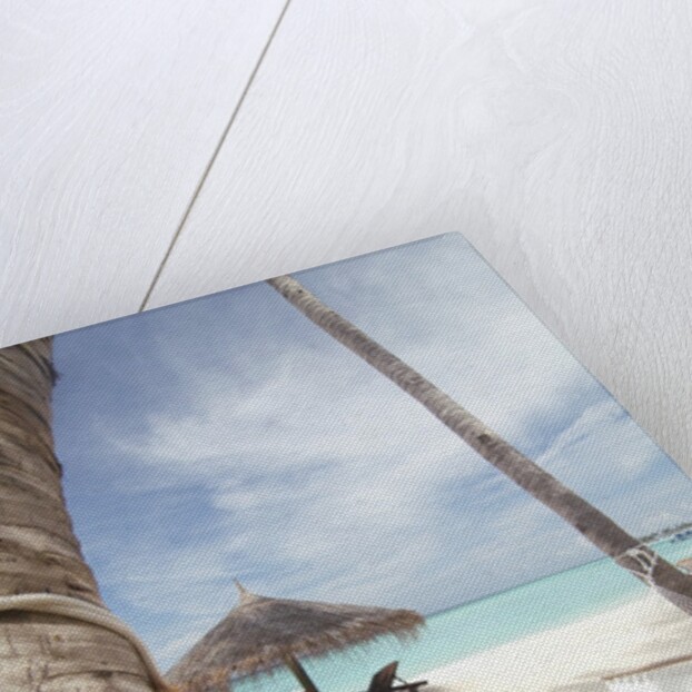 Hammock on the beach by Anonymous