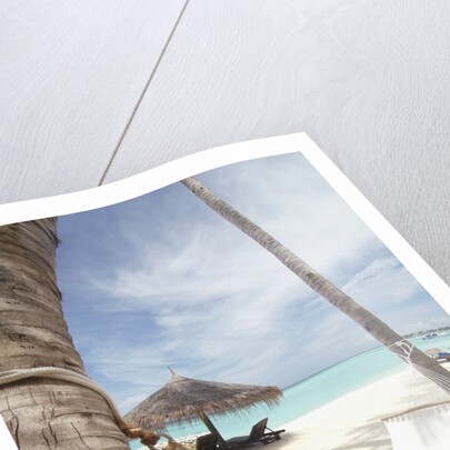 Hammock on the beach by Anonymous