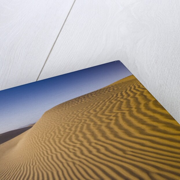 Sand Dunes of Isla Magdalena by Anonymous