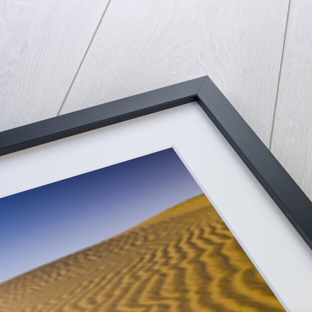 Sand Dunes of Isla Magdalena by Anonymous