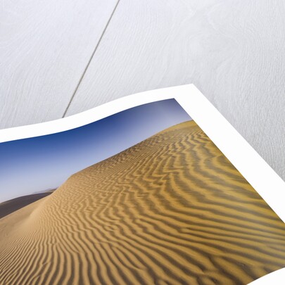 Sand Dunes of Isla Magdalena by Anonymous