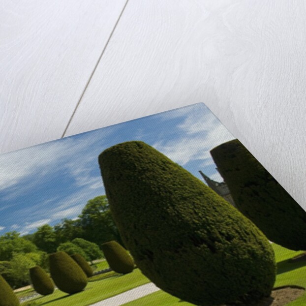 Gardens on the Estate of Lanhydrock by Anonymous