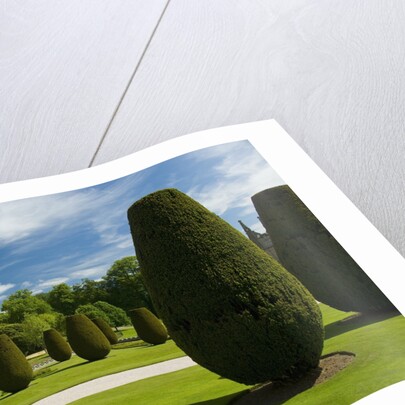 Gardens on the Estate of Lanhydrock by Anonymous