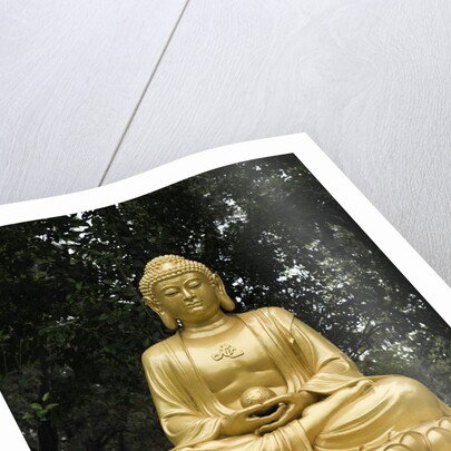 Dacien Buddhist Temple, Xian, China by Anonymous