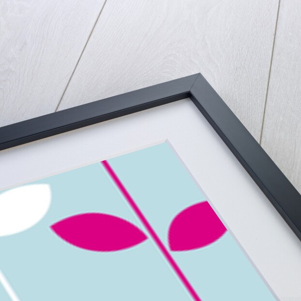Pink and White Leaves by Anonymous