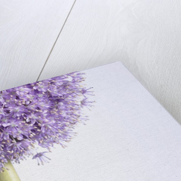 Persian onion by Anonymous