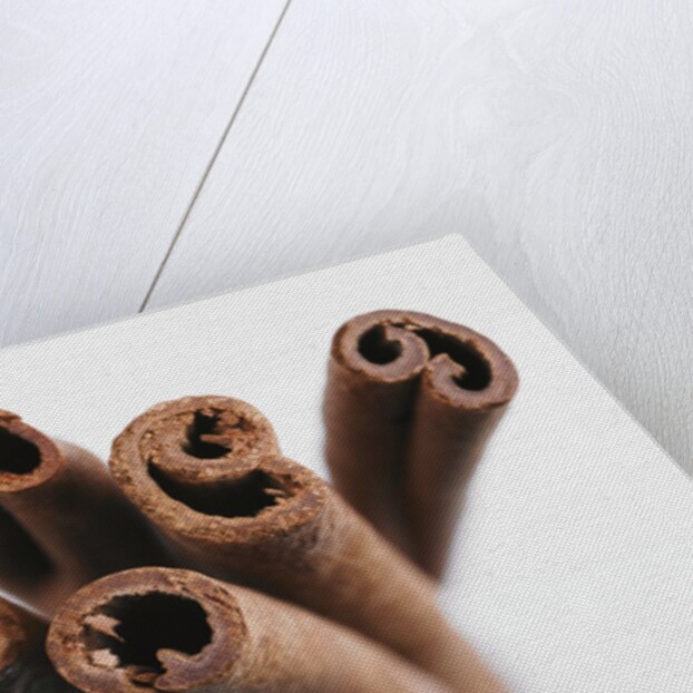Cinnamon sticks by Anonymous