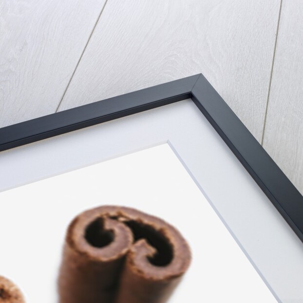 Cinnamon sticks by Anonymous