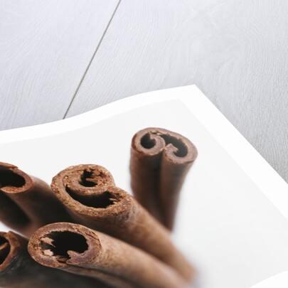 Cinnamon sticks by Anonymous