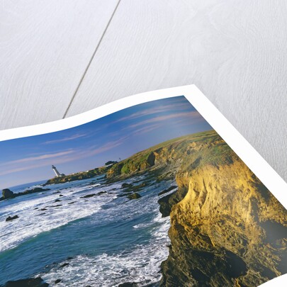 Pigeon Point Lighthouse by Anonymous