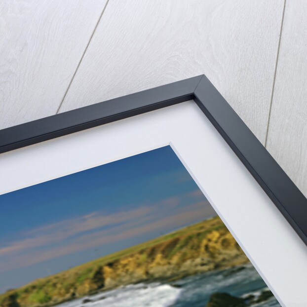 Pigeon Point Lighthouse by Anonymous