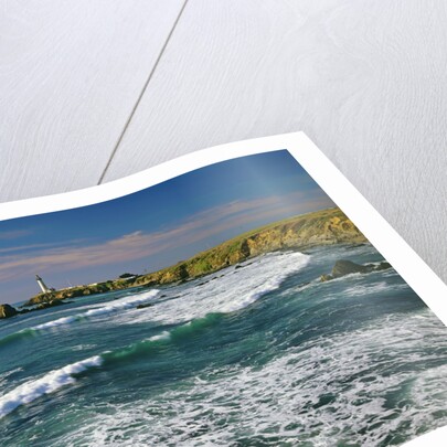 Pigeon Point Lighthouse by Anonymous