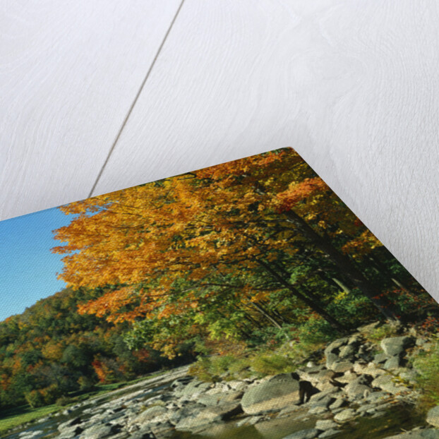 Autumn in the Catskills by Anonymous