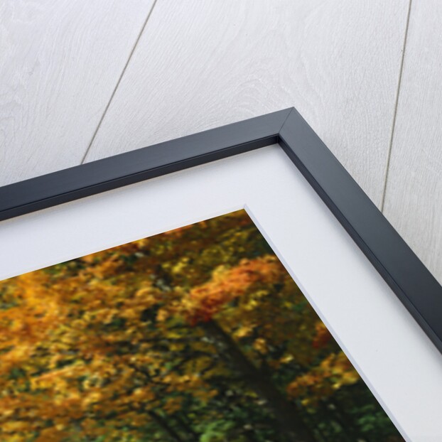 Autumn in the Catskills by Anonymous