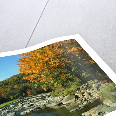 Autumn in the Catskills by Anonymous