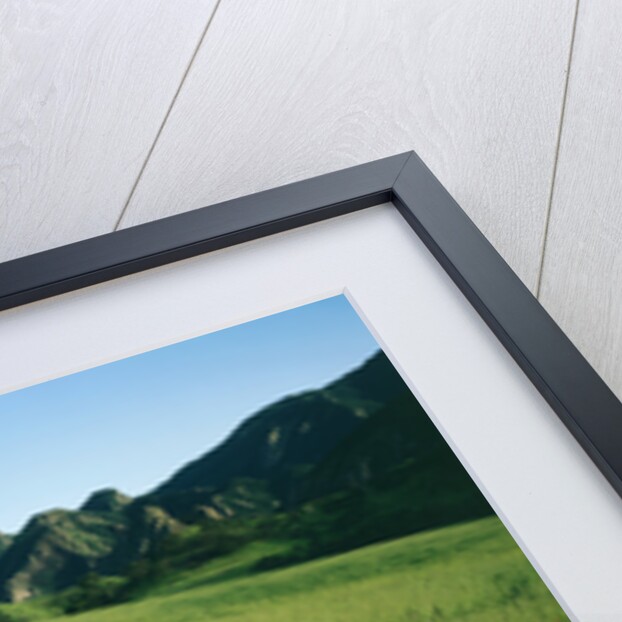 Malibu Creek State Park by Anonymous