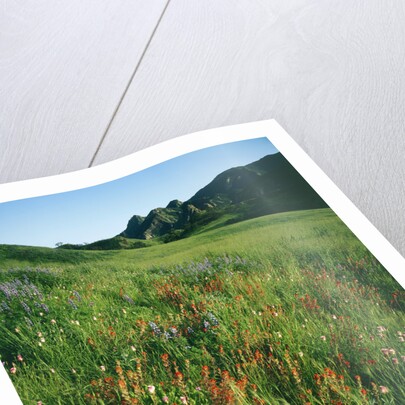 Malibu Creek State Park by Anonymous