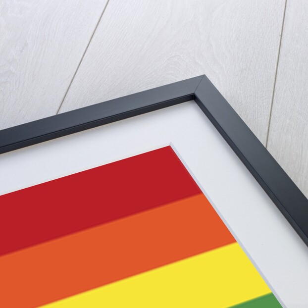 Rainbow flag by Anonymous