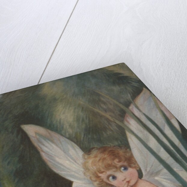 Illustration of Fairy on Water Lily by Fred Spurgin