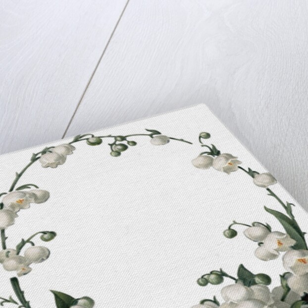 Illustration of White Flower Border by Anonymous