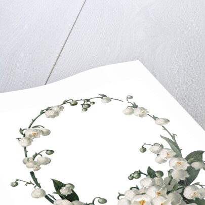 Illustration of White Flower Border by Anonymous