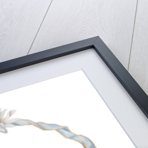 Illustration of Daisy Border with Ribbon by Anonymous