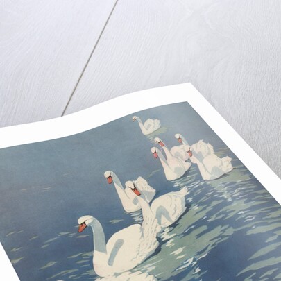Illustration of Flock of Swans by Coles Phillips