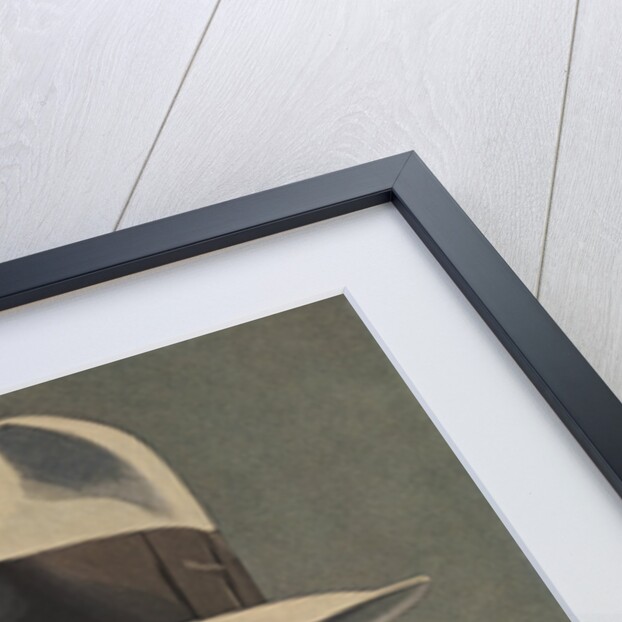 Illustration of Man Wearing Grey Fedora by Percy Edward Anderson