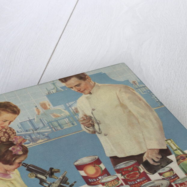 Illustration of Girl Looking Through Microscope by Douglass Crockwell