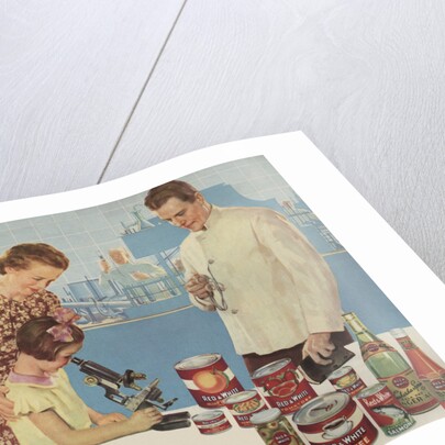 Illustration of Girl Looking Through Microscope by Douglass Crockwell