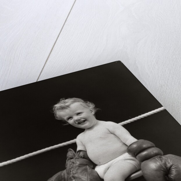 1930s Baby Seated On Stool In Boxing Ring Wearing Oversized Boxing Gloves Wearing Diaper by Anonymous