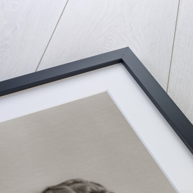 1940s Father Cradling Baby Daughter Feeding Her Bottle With Mother Looking Over His Shoulder by Anonymous