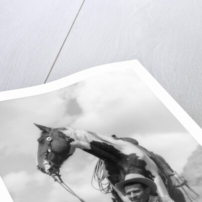 1930s Cowboy Sitting In Front Of Horse Holding Reins Spotted Paint Pinto by Anonymous