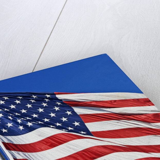 US Flag by Anonymous