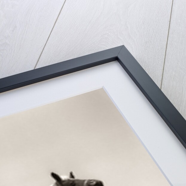 Little Boy on Rocking Horse Toy by Anonymous