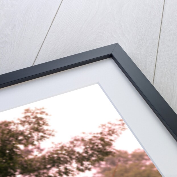 1970s 1960s Two Boys Walking Beside Fishing Pond by Anonymous