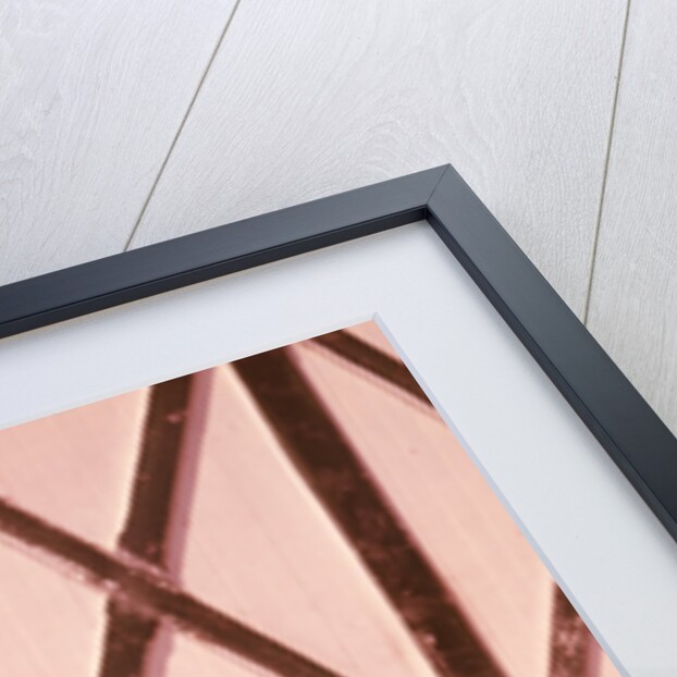 1950s 1960s Girl Rolled Up Denim Jeans With Guernsey Calf Outside Barn by Anonymous