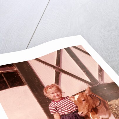 1950s 1960s Girl Rolled Up Denim Jeans With Guernsey Calf Outside Barn by Anonymous