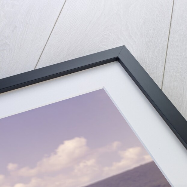 1960s Back Of Two Boys With Black And White Dog Sitting Hillside Field Looking Down To Farm by Anonymous
