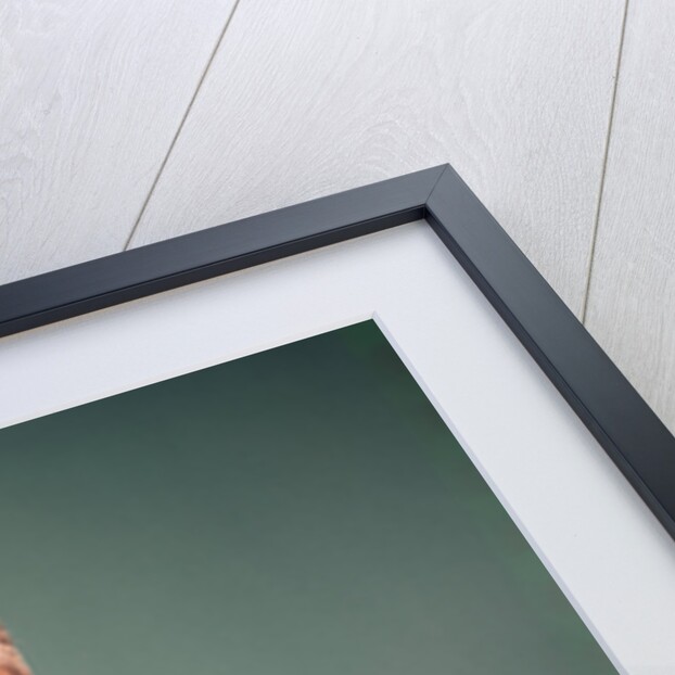 1960s 1970s Bartender Man In Black Tuxedo Mixing Cocktail In Shaker by Anonymous