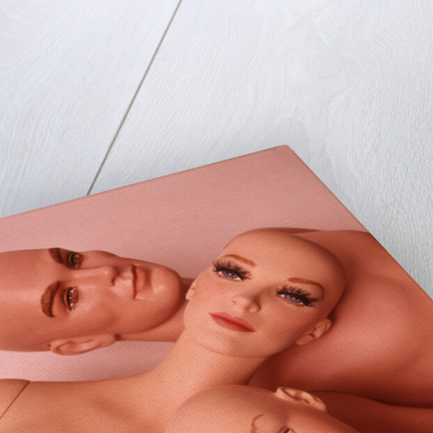 1970s Family of Mannequins by Anonymous