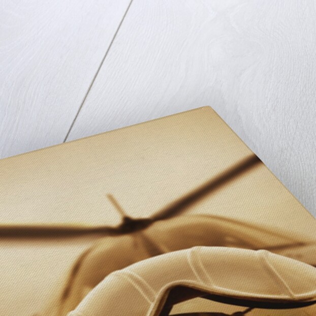 Helicopter Pilot by Anonymous