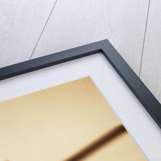 Helicopter Pilot by Anonymous